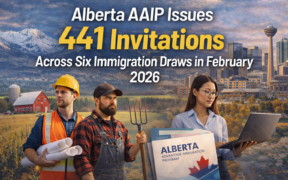 Alberta AAIP February 2026 immigration draws